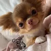 lera_rsk7