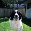 geraldfreckles
