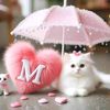 user875316406