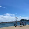 gyu_858