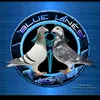 bluelinesloft