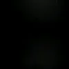 nicollygabrielyfr4