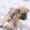 asher.7.s