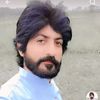 farmanalidon236