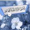 alassaila_