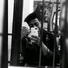 wael5786