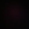 tedros_7