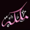 user3044675951975