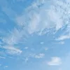 dzlvmax_1