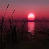 andreiandvova8