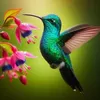little.bird640