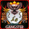 ali.hanzala.102