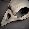 ngonre_31008