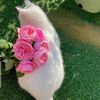 malik94991