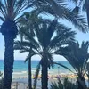 mounir.alicante1