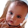habibul.haq01