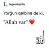 user5613024954854