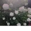yasmin.lrbeauty