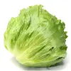 lettuce3758