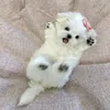 yx_nina15