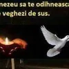 lauraaxiniei8