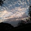 _sara.c.a