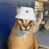 tomlegenda34