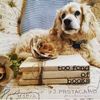 too_fond_of_books