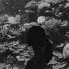 ddellaa00