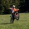 mintsxf