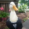 goose228.21