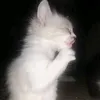 _eessssk