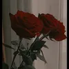 user9437458810600