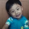 sardinelee