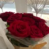 amirapriencesse