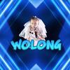 the.real.wolong