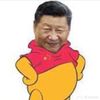 ducaiguozeixijinping