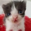 nguyndawnnn