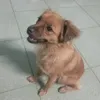 hngnguynthhunh31