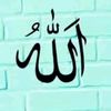 user8323506786101