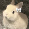 tom_consgp