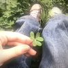 romy_sa12