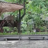 hongtnh611