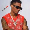 user8291600368786
