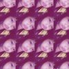 icaa_1053
