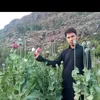 saidal.hussain