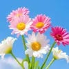 rubabfatima027