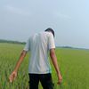 ghoraful
