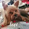 vivianeparent6