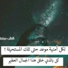 user97062745107908